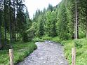 DOLOMITI2009 (314)